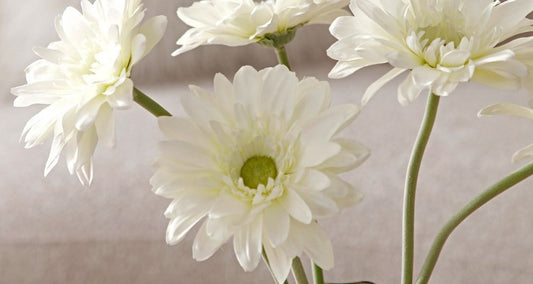 Comment faire des fleurs artificielles?