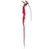 Amaranth Cascading Foliage