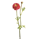 Mathilda Buttercup Stem