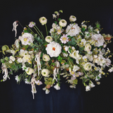 Flowering Scabiosa Stem