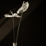 Anthurium Painters Palette Stem