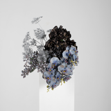 Phalaenopsis Orchid Stem Glitter