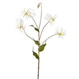 Gloriosa Amy Sequined Stem