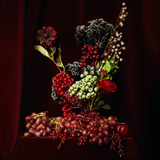 Glittery Angelica Stem Izia Christmas