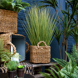 Touffe d'Herbes