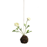 Hanging Composition Ranunculus