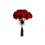 Carnation Bouquet