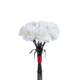 Carnation Bouquet