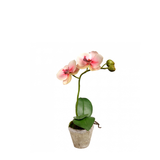 Artificial Orchid Composition Sina Small Size