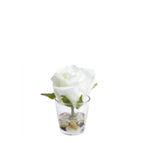 Rosa in Acqua Magica PIETRE