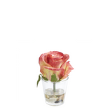 Rosa in Acqua Magica PIETRE