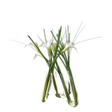 Composition of Calla Lilies in Water Illusion