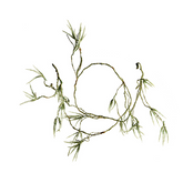 Ghirlanda di mini fiori