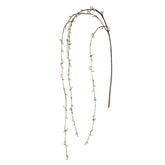 Amaranthus retroflexus