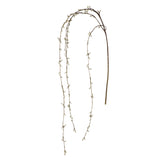 Amaranto Cadente in Gradiente