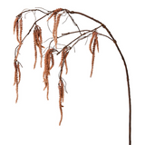 Amaranth Cascading Foliage