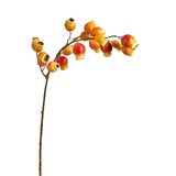 Rosehip Branch