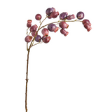 Rosehip Branch