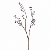 Branche de Baies bleutées