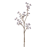 Branche de Baies bleutées