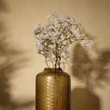 Dried Pine Branch Christmas