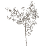 Dried Pine Branch Christmas