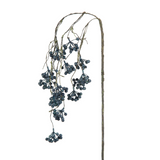 Rama de bayas caídas