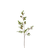 Berry Branch with Leaves