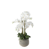 Artificial Orchid Arrangement Gray Vase