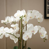 Artificial Orchid Arrangement Gray Vase