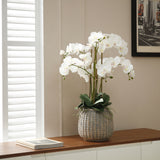 Artificial Orchid Arrangement Gray Vase