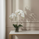 Artificial Orchid in Soil Small Size