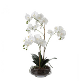 Composition d'Orchidée Artificielle Lena 2 branches
