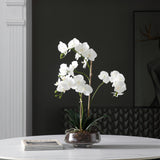 Artificial Orchid Composition Lena 2 branches