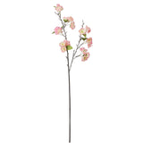 Cherry Blossom Stem