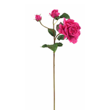 Tige de Rose Avec Bourgeon