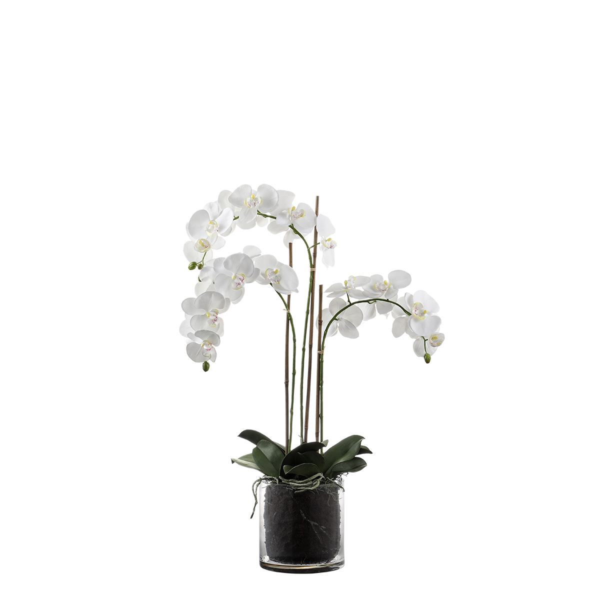 Composition d'Orchidée Artificielle avec vase transparent Moyen Format