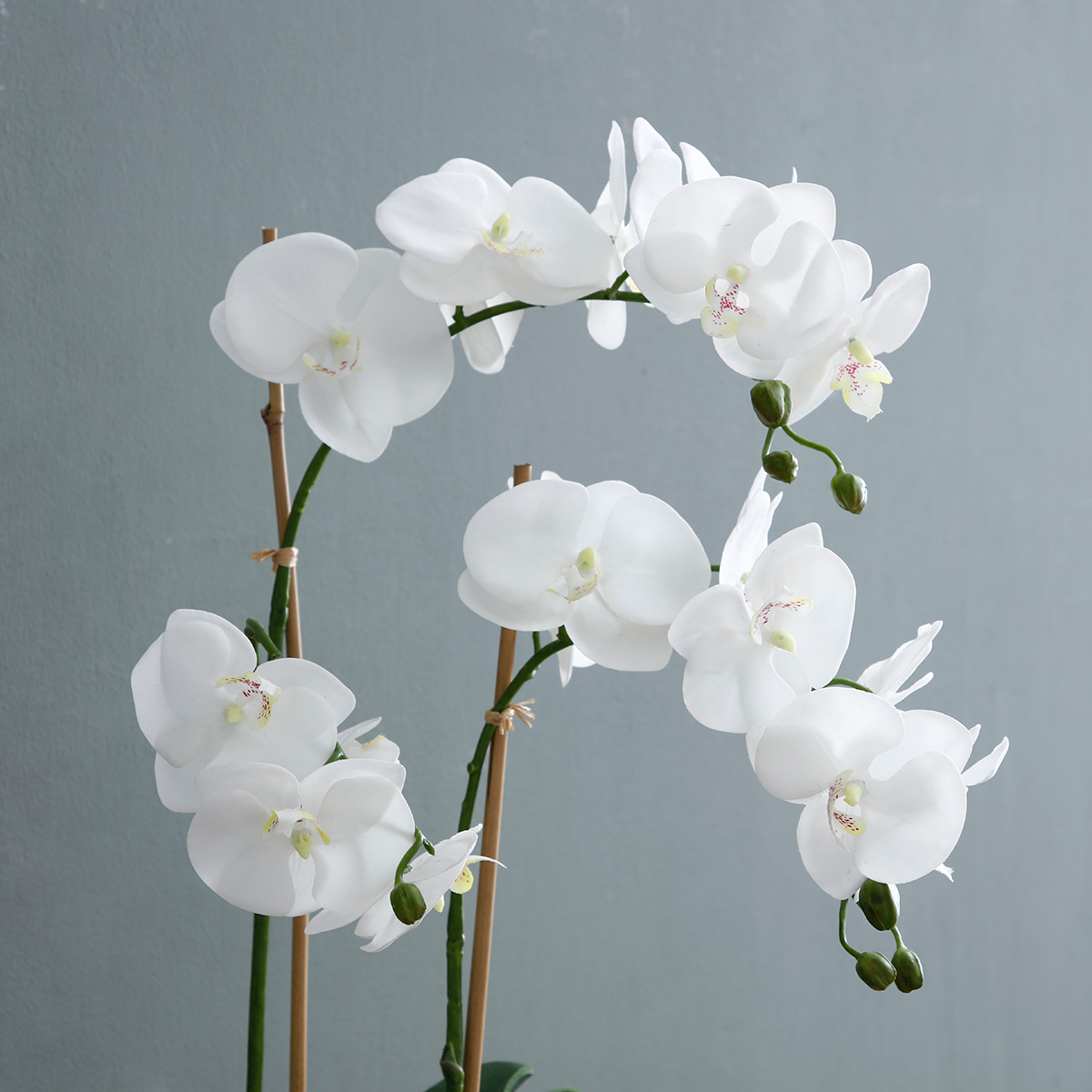 Composition d'Orchidée Artificielle avec vase transparent Petit Format