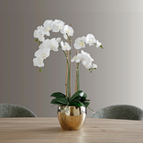 Artificial Orchid Arrangement with Gold Vase Large Size