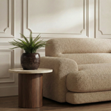 Arbusto de helecho en maceta