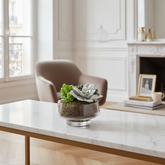 Composizione di Succulente in vaso trasparente Grande formato