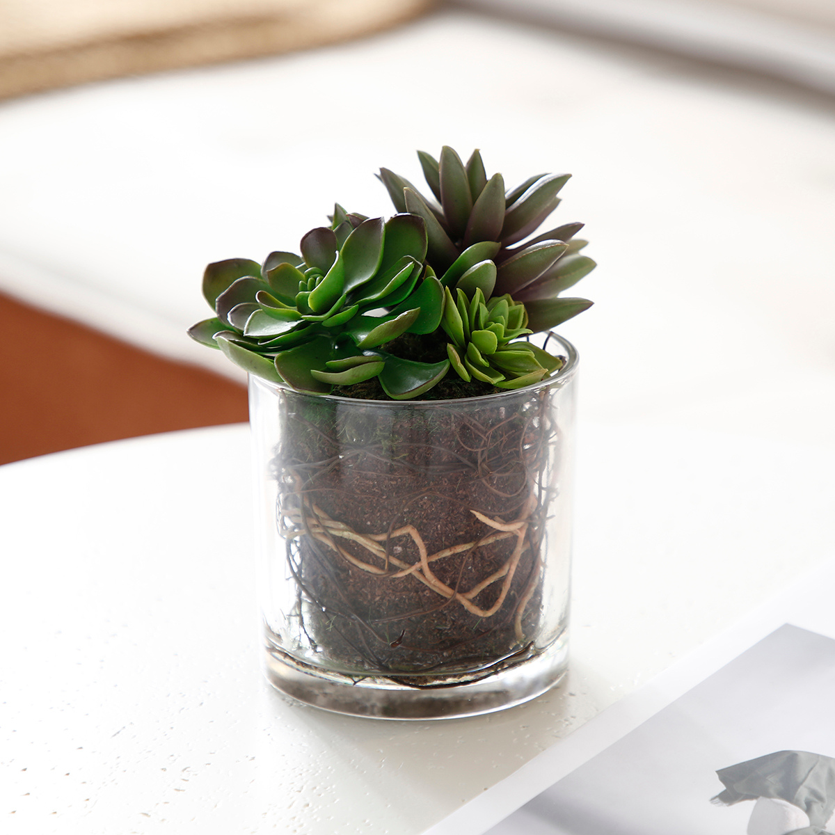 Composition de Succulentes en vase transparent Petit Format