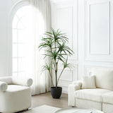 Yucca Tree in Pot 190 cm