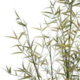 Bamboo Tree in Pot 125cm