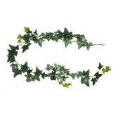 Guirnalda de hiedra inglesa