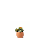 Succulente Artificielle en Pot