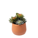 Artificial Succulent in Pot