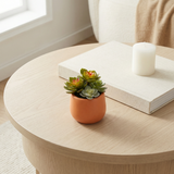 Artificial Succulent in Pot