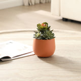 Artificial Succulent in Pot