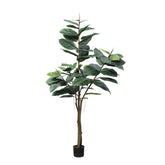 Árbol de Caucho en Maceta 180 cm